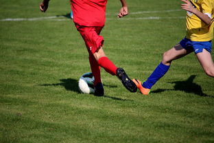 1xbet体育投注-皇马3-1巴黎圣日耳曼：本泽马双响，巴黎无缘小组头名，皇马对巴黎次回合