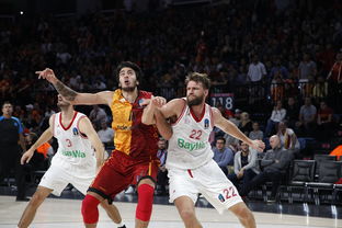 1xbet体育app-德甲榜首之争：拜仁领先门兴，谁能笑到最后？，拜仁豪夺德甲九连冠!