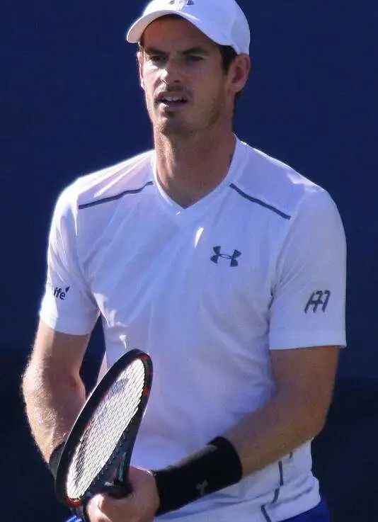 1xbet体育官网入口-摩恩球员伤愈复出，状态回升的简单介绍